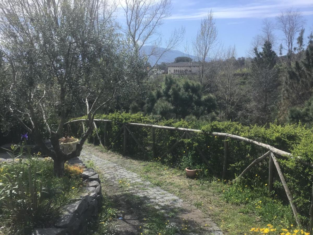 Tenuta Terradifuoco 테르지뇨 외부 사진